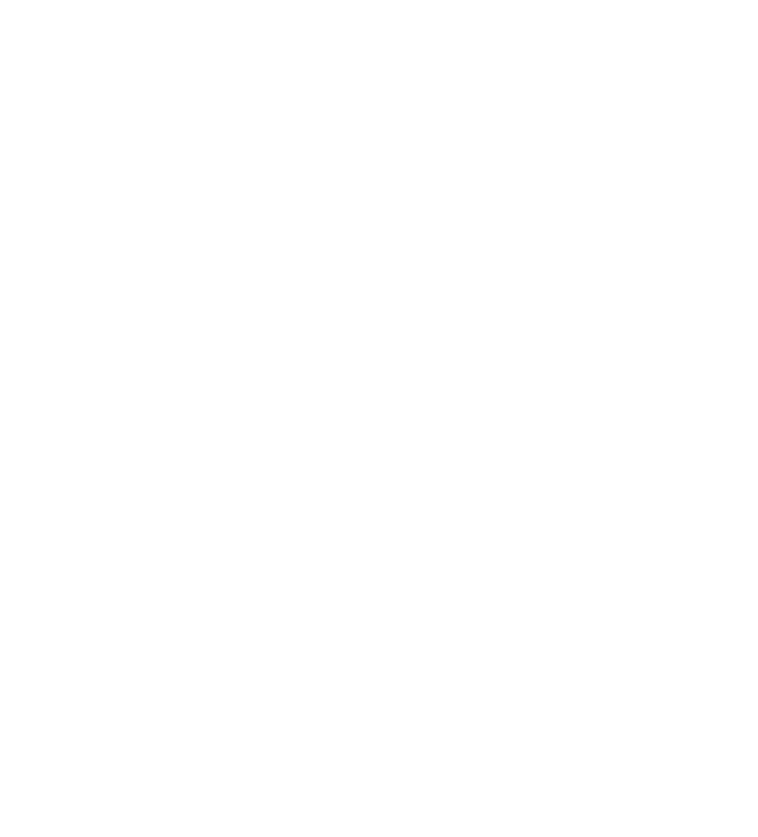 The Juicing Company