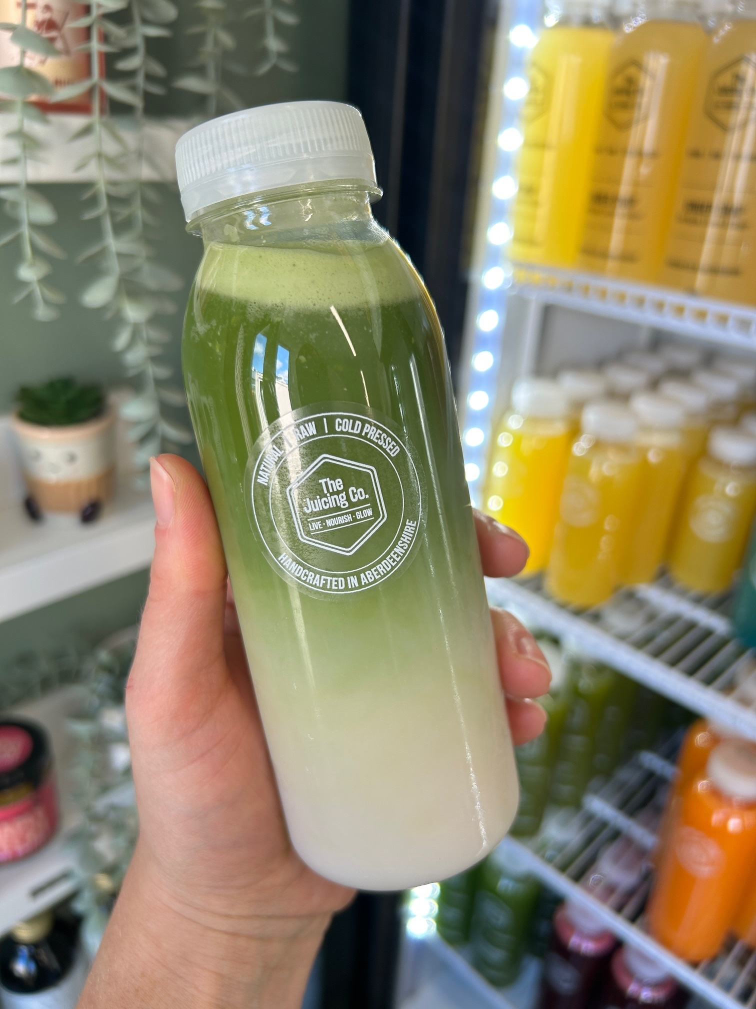 Maple Sea Salt Matcha Latte to-go!